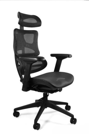 Fotel biurowy, ergonomiczny, Ergotech, czarny
