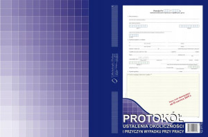 DRUK Protokół wypadkowy Michalczyk A4 871-1
