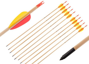 QBest Strzała drewniana 10 sztuk 30" drewno