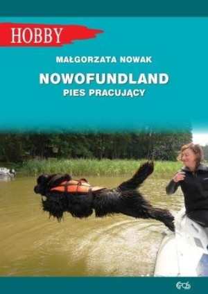 Nowofundlad - pies pracujący Małgorzata Nowak