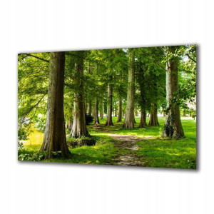 Obraz na szkle Natura 169327791 100x50