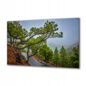 Obraz na szkle Natura 303646280 100x50
