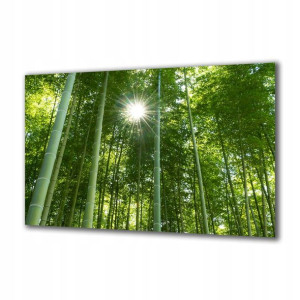 Obraz na szkle Natura 304317235 100x50