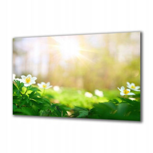 Obraz na szkle Natura 315903371 100x50