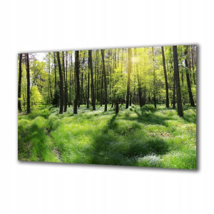 Obraz na szkle Natura 64946778 100x50