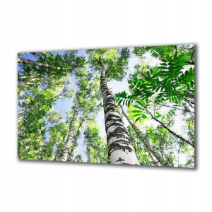 Obraz na szkle Natura 113817796 125x50