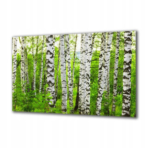 Obraz na szkle Natura 116268107 125x50