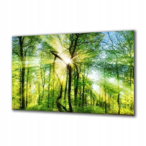 Obraz na szkle Natura 138735020 125x50