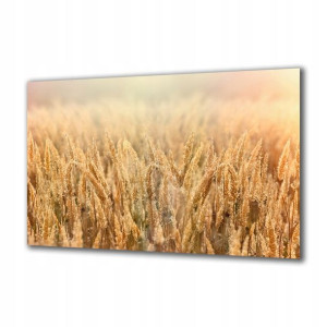 Obraz na szkle Natura 209536369 125x50