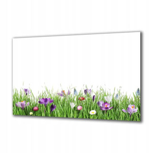 Obraz na szkle Natura 265985622 125x50