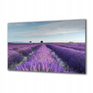 Obraz na szkle Natura 32089487 125x50