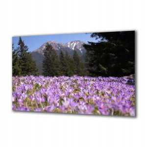 Obraz na szkle Natura 41257351 125x50