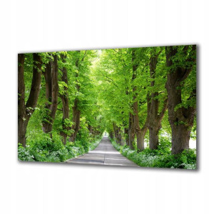Obraz na szkle Natura 42538836 125x50