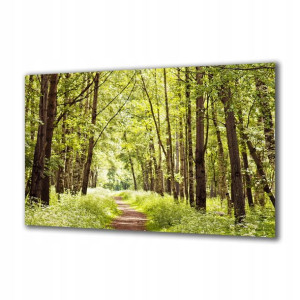 Obraz na szkle Natura 42683086 125x50