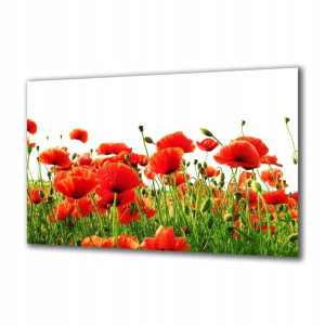 Obraz na szkle Natura 44852609 125x50