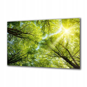 Obraz na szkle Natura 49368465 125x50