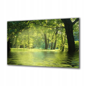 Obraz na szkle Natura 50676803 125x50