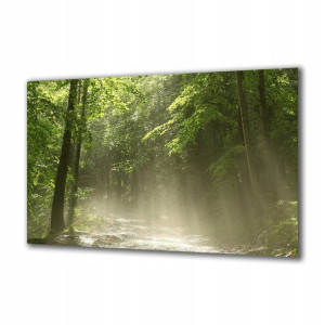 Obraz na szkle Natura 53301829 125x50