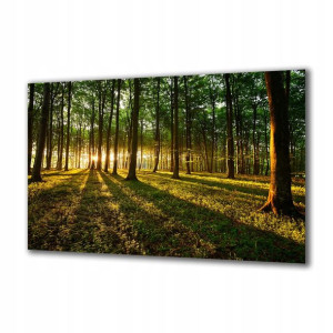 Obraz na szkle Natura 53546475 125x50