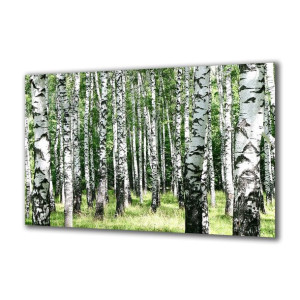 Obraz na szkle Natura 54642277 125x50