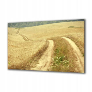 Obraz na szkle Natura 59633862 125x50