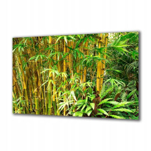 Obraz na szkle Natura 60216310 125x50