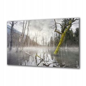 Obraz na szkle Natura 60272334 125x50
