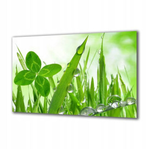 Obraz na szkle Natura 60784567 125x50