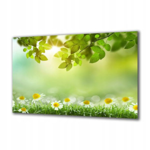 Obraz na szkle Natura 61634793 125x50