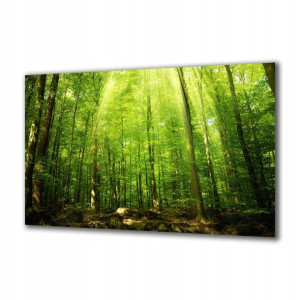 Obraz na szkle Natura 63191638 125x50