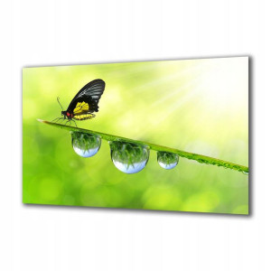 Obraz na szkle Natura 64319821 125x50