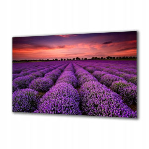 Obraz na szkle Natura 64900250 125x50