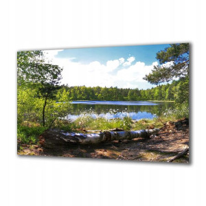 Obraz na szkle Natura 65467698 125x50