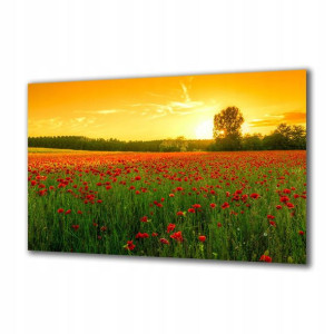 Obraz na szkle Natura 66315772 125x50