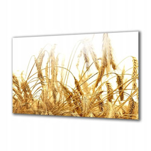 Obraz na szkle Natura 68789544 125x50
