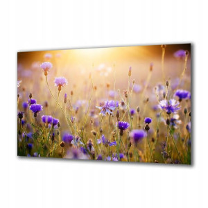 Obraz na szkle Natura 70602610 125x50