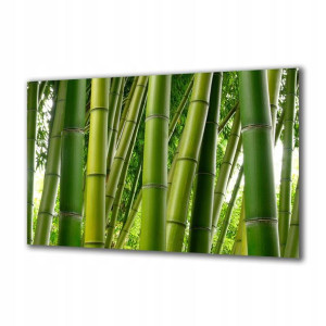 Obraz na szkle Natura 78977057 125x50
