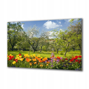 Obraz na szkle Natura 7925330 125x50