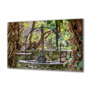 Obraz na szkle Natura 79495282 125x50