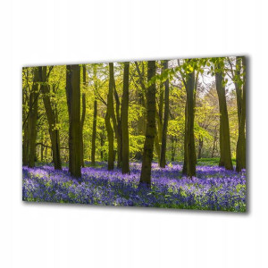 Obraz na szkle Natura 82879966 125x50