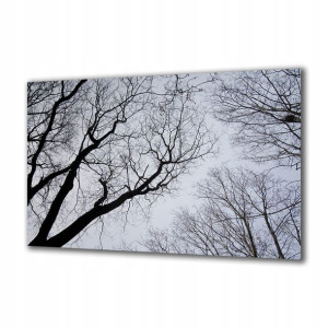 Obraz na szkle Natura 86487414 125x50