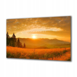 Obraz na szkle Natura 89841742 125x50