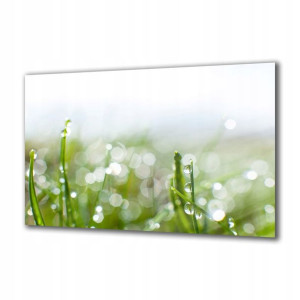 Obraz na szkle Kwiaty 64570137 120x60