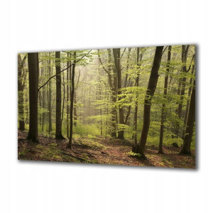 Obraz na szkle Natura 109503342 120x60