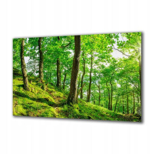 Obraz na szkle Natura 113247041 120x60