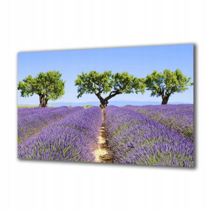 Obraz na szkle Natura 114442983 120x60