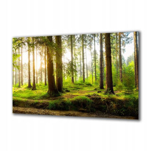 Obraz na szkle Natura 121758441 120x60