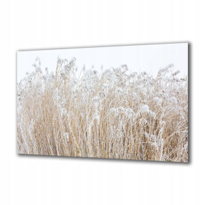Obraz na szkle Natura 130900998 120x60