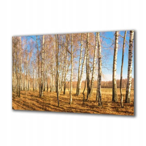 Obraz na szkle Natura 138467713 120x60