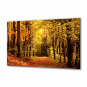 Obraz na szkle Natura 17501121 120x60